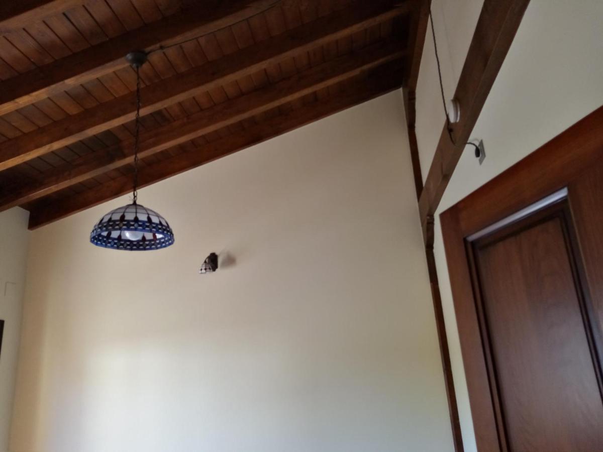 Apartamentos La Regata Viveda Eksteriør billede